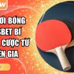 luật chơi bóng bàn VSBET